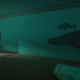 Image for article titled A Game Where You're A Cat. Then A Shark. Then A Tentacle Monster
